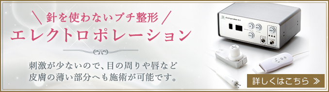 エレクトロポレーションについて。詳しくはこちら